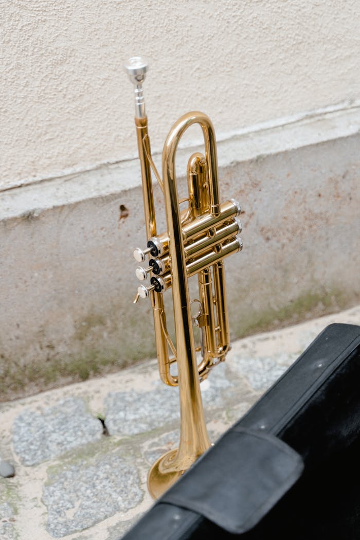 A brass trumpet standing upright on a cobblestone street, showcasing musical elegance.